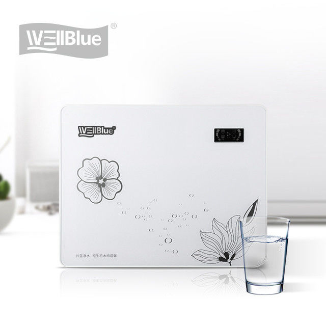 WellBlue Reverse Osmosis Drinking Water Filter System High Performance